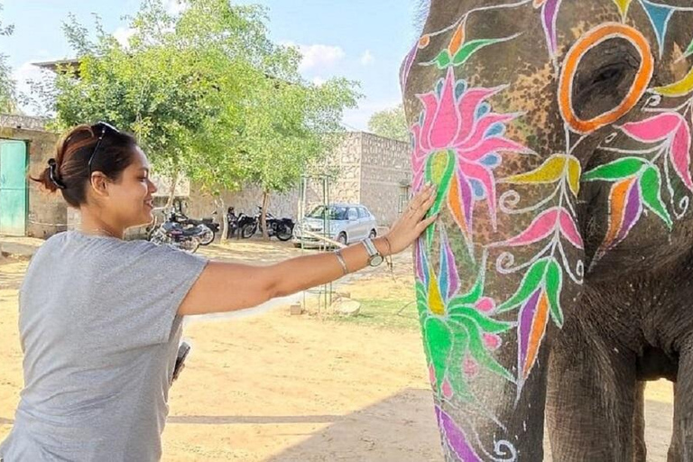 Jaipur: Hathi Gaon Elephant Riding, Painting, Feeding & More Riding on Elephant with Photogarphy