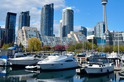 Toronto: 2 horas de city tour guiado na cidade em ônibus