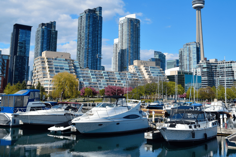 Toronto: tour guiado por la ciudad de 2 horas en autobús con opción de cruceroTour de la ciudad de Toronto de 2 horas con crucero en barco