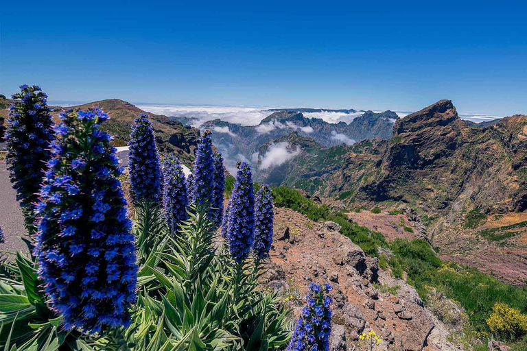 Madeira: PR1/PR3 at Sunrise Pico Arieiro Ticket Included Madeira: PR1/PR3 at sunrise Pico Arieiro Ticket Included
