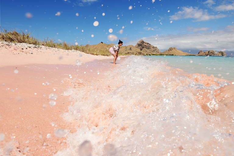 Île de Komodo : Excursion d'une journée pour les dragons et les îles de Komodo