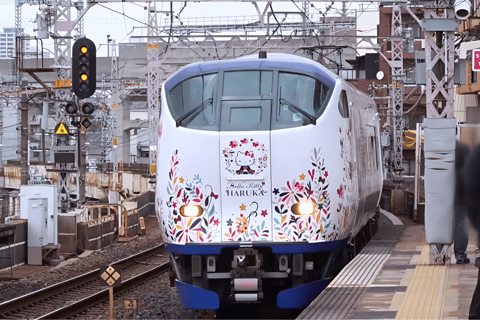 Billete de ida Kansai-Airport Express HARUKAHARUKA TICKETS Aeropuerto de Kansai → Osaka・Shin-Osaka Sólo ida