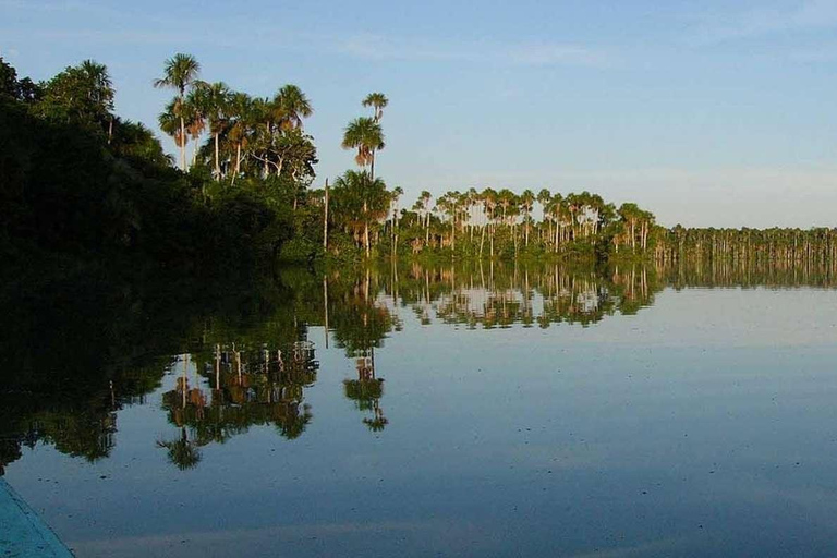 Tambopata: Sandoval Lake and Cayman Safari 2 days