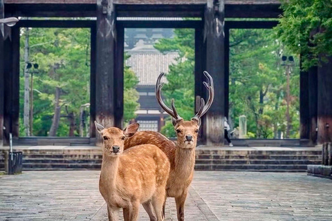 Kyoto & Osaka: Private Customizable Day Trip with Guide