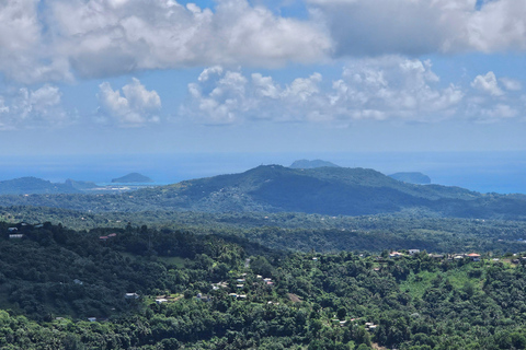 Saint Lucia: Piton Hike