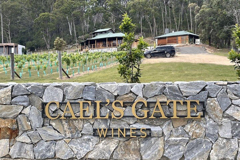 Cael's Gate Wine Tasting with Cheese and Charcuterie Board