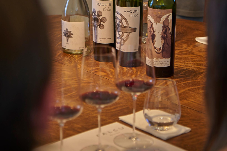 Colchagua Valley: Private Tour