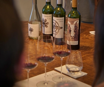 Vale de Colchagua: Tour Privado