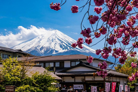 Tokyo: Mt Fuji & Hakone Ropeway, Lake Ashi Cruise,Owakudani Excludes Pirate Ship | Tokyo 7:30AM