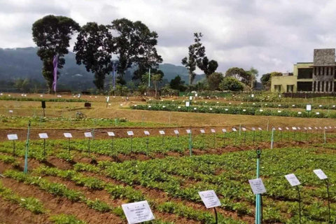 Kandy Top City Sights & Agro Tech Park Visit 4-Hours Tour Kandy Top City Sights visit -01