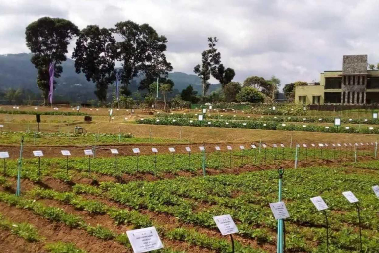 Kandy Top City Sights & Agro Tech Park Visit 4-Hours Tour Kandy Top City Sights visit -01