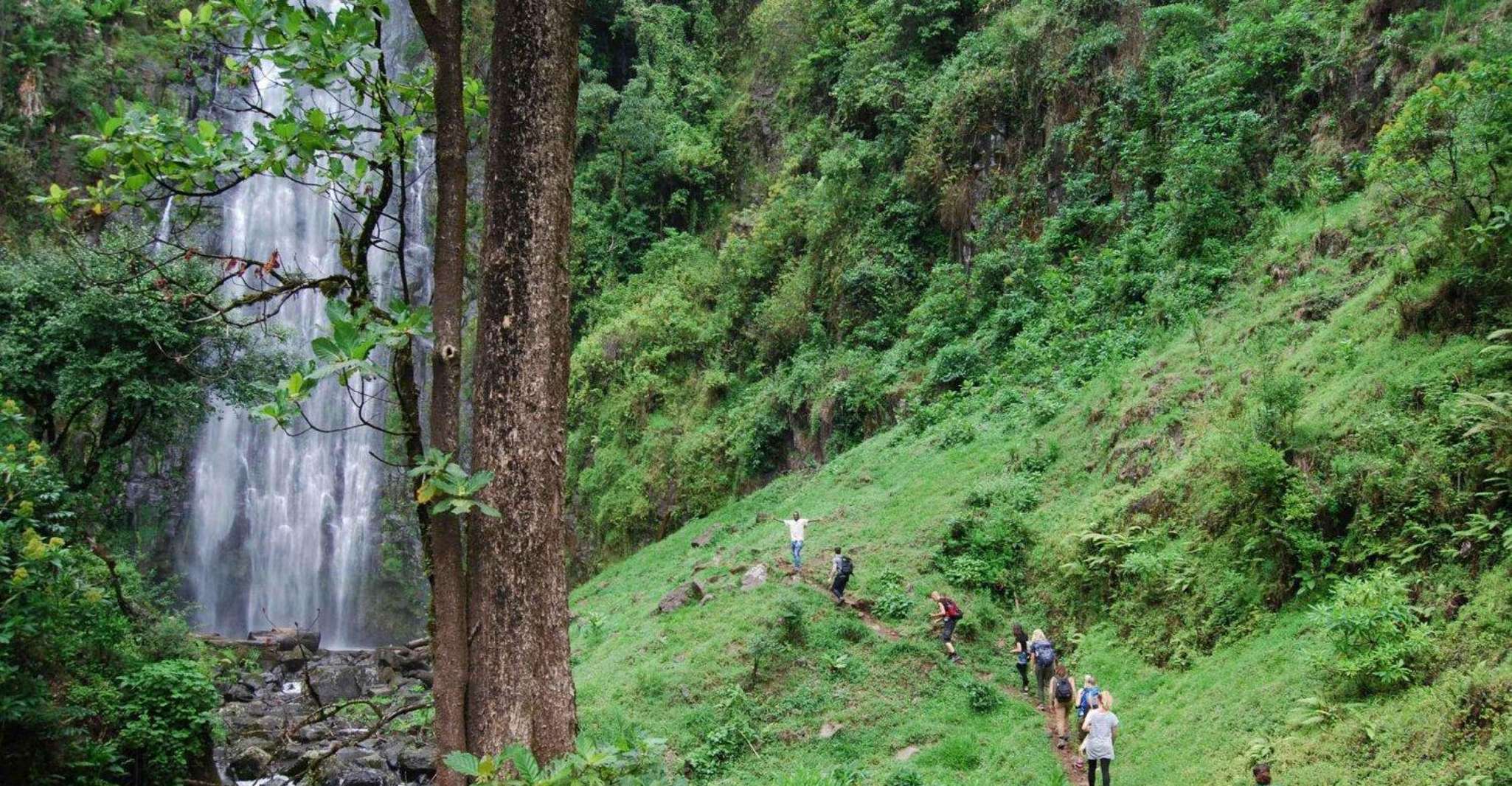 Tour de café Materuni, cascadas con almuerzo - Housity