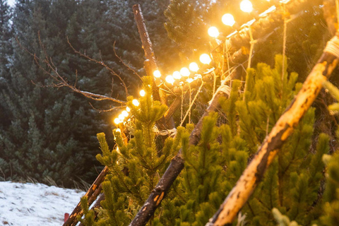 Depuis Reykjavík : Marché de Noël et visite en voiture des Yule Lads