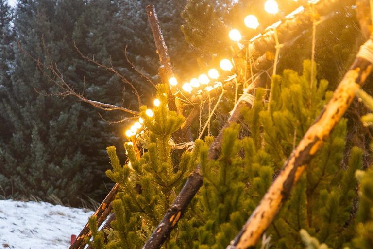 Depuis Reykjavík : Marché de Noël et visite en voiture des Yule Lads