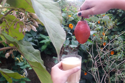 Quito: Cooking class In-home space