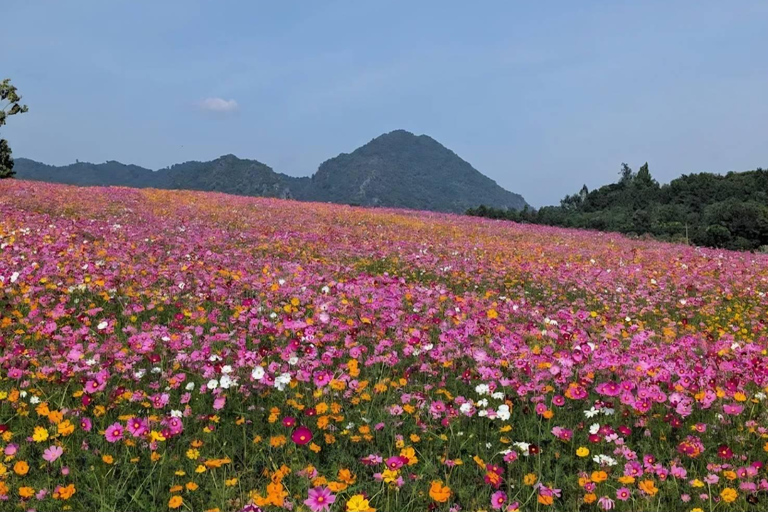 Descobre Chiang Rai: templos, arte e natureza cénicaDiscover Chiang Rai: Temples, Art, and Scenic Nature