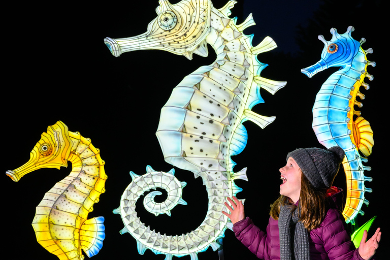 Edimburgo: tickets de entrada para el evento de linternas gigantes del zoo de EdimburgoEdimburgo: tickets de entrada para el zoo de Edimburgo y los faroles gigantes