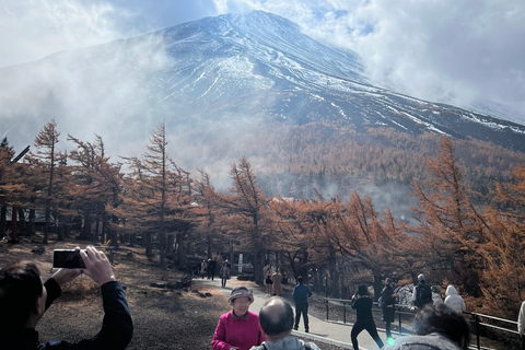 Tóquio: Monte Fuji e Hakone - Viagem de 1 dia com guia particularDe Tóquio: Viagem de 1 dia particular ao Monte Fuji e Hakone