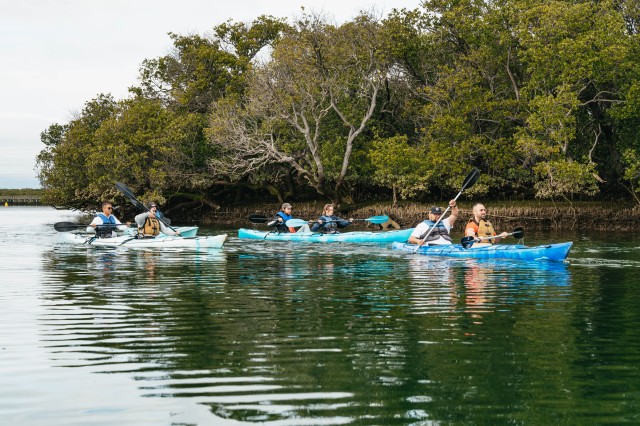 Visit Adelaide Dolphin Sanctuary Eco Kayaking Tour in Tennyson