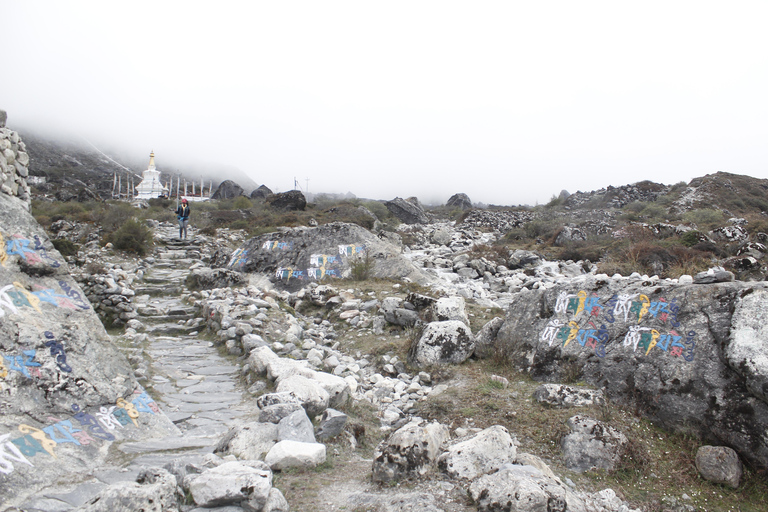 Från Katmandu: 7-dagars vandring i Langtangdalen