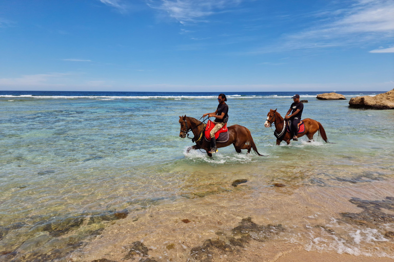 Makadi Bay: ATV, Horse, and Camel Ride Tour
