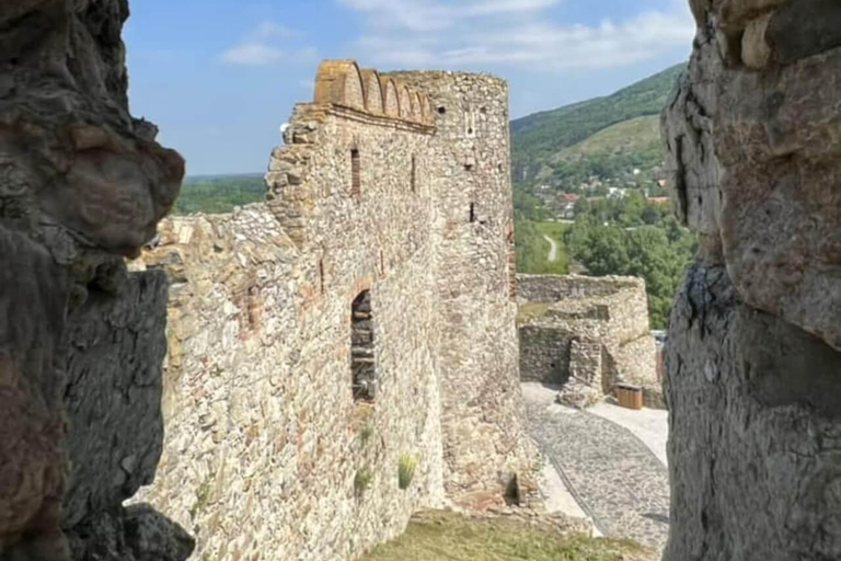 From Bratislava: Devin Castle & Iron Curtain Half-Day Tour