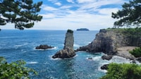 Jeju, Mt. Hallasan Kleine Gruppe Naturwanderung & Mittagessen - Hizvo