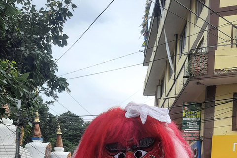 Kathmandu Valley: Top 4 UNESCO World Heritage Sites Day Tour