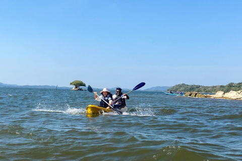 From Sigiriya: Kayaking Through Floating Flowers at Kanthale