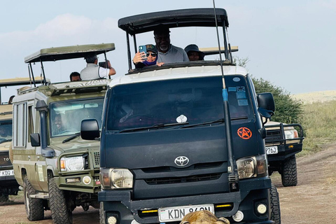 Nairobi National Park Half-Day Guided Safari (4–5 Hours) Nairobi National Park Half-Day Shared Guided Safari