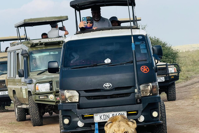 Nairobi National Park Half-Day Guided Safari (4–5 Hours) Nairobi National Park Half-Day Shared Guided Safari