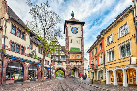 Private ganztägige Autotour von Bern nach Greyerz und Freiburg