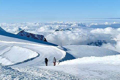 From Interlaken: 6-Day Tour with Jungfraujoch and Mt. Titlis