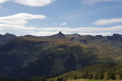 Flumserberg: Guided highlights hikes