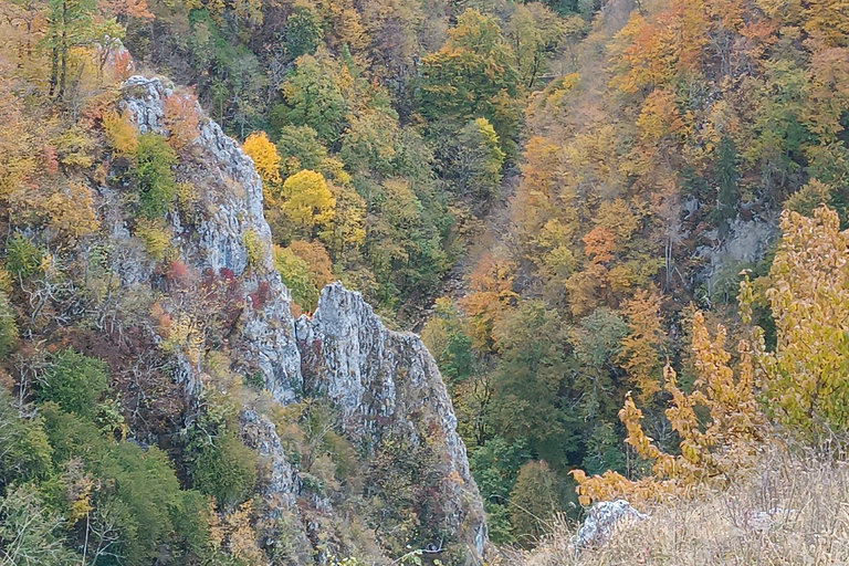 Brașov: Guided Gorge Hike, Caves, and Via Ferrata Adventure Brașov: Guided Hike and Caves