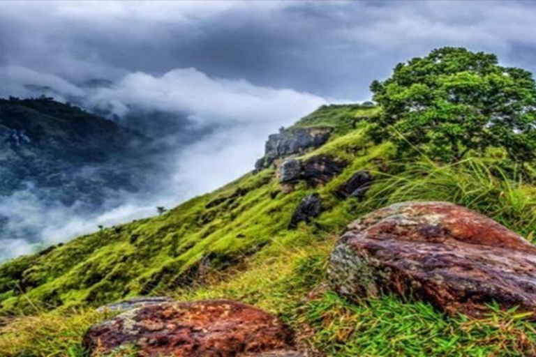 Haputale: Ella Day Tour with Tea Factory and Cooking Class