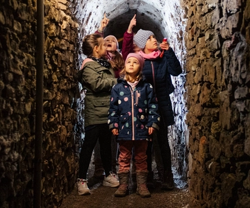 Erfurt: Guided Tour of The Petersberg Citadel