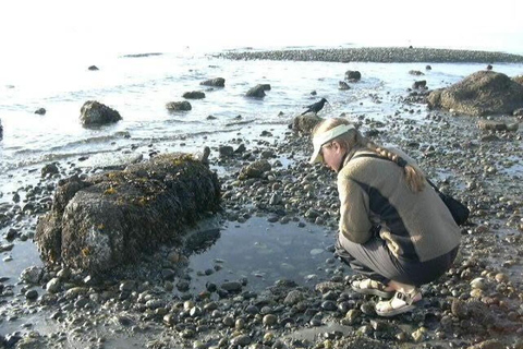 Seattle - en tur med havskajak Havskajaktur med Alki Lighthouse