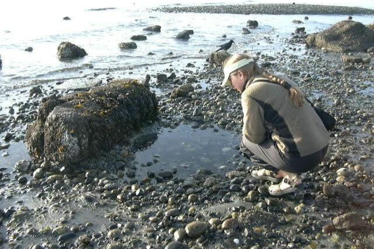 Seattle - en tur med havskajak Havskajaktur med Alki Lighthouse