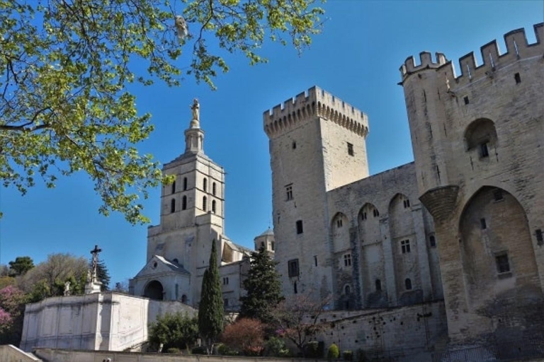Avignon: Tour rund um den PalastFührung auf Englisch