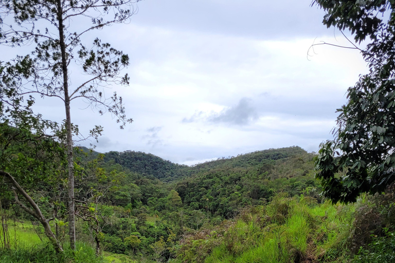 CAMINHO DO OURO - Guided tour Atlantic Forest, Waterfalls, Stories.