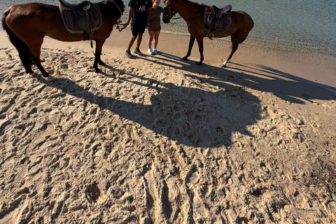 Hammamet: 2-Hour Horseback Ride at Sunrise or Sunset Hammamet: Two-Hour Sunrise Horseback Riding Tour