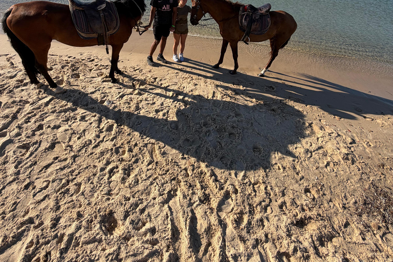 Hammamet: 2-Hour Horseback Ride at Sunrise or Sunset Hammamet: Two-Hour Sunrise Horseback Riding Tour