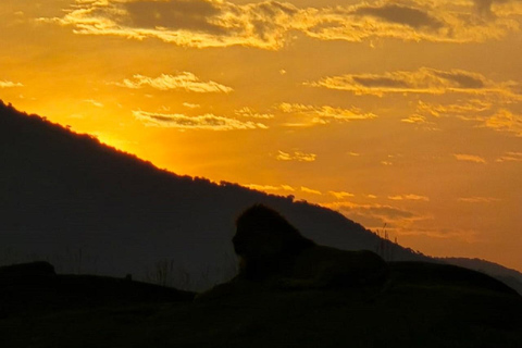 3-Day Maasai Mara Safari