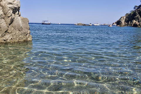 Barcelona: Private Trip, Girona, Medieval Town, Coast & Wine Private Day Trip