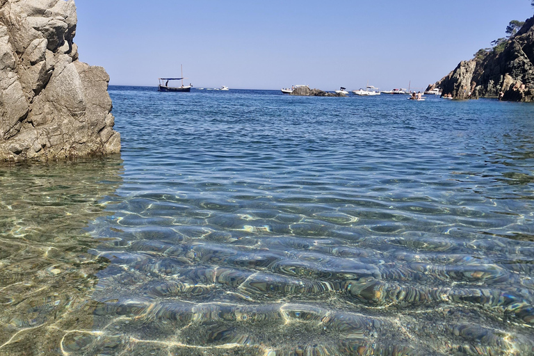 Barcelona: Private Trip, Girona, Medieval Town, Coast & Wine Private Day Trip
