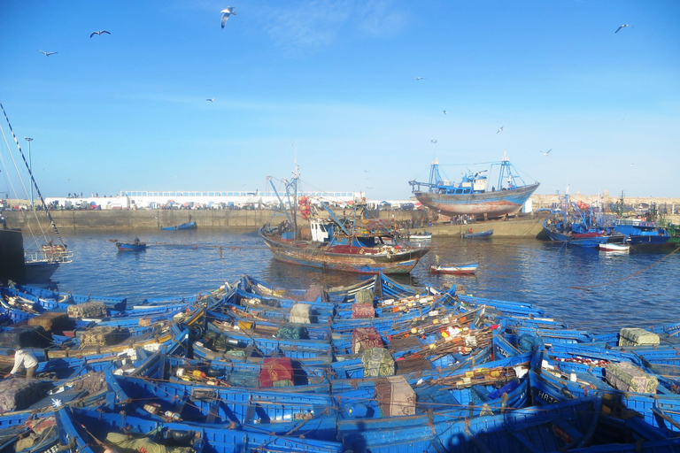 Discover the Enchantment of Essaouira: with Pickup Included