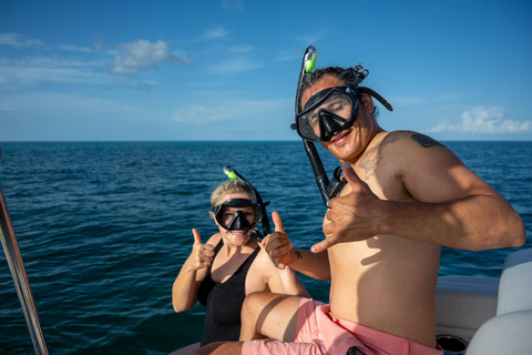 Snorkelen met dolfijnen &amp; zandbar Key West