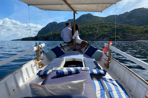 Visite privée de la côte en hiver : Tour en bateau panoramique de 2,5 heures