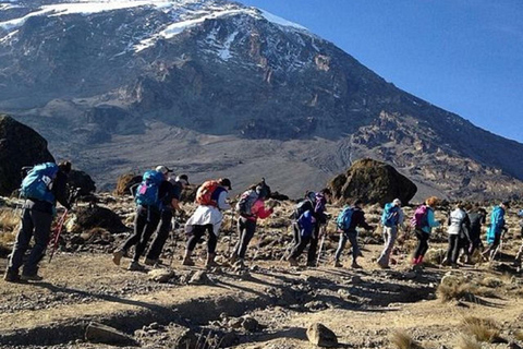 Arusha: 7-Day Kilimanjaro Machame Route Guided Trek